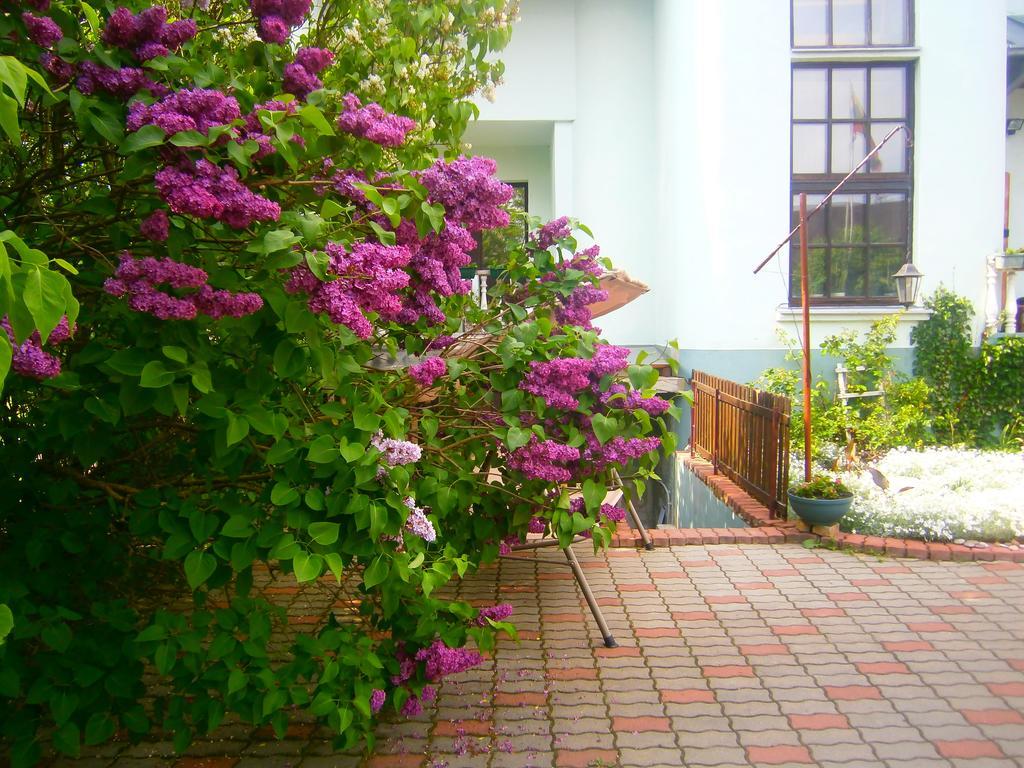 Nemunas Tour Residence Ringaudai ภายนอก รูปภาพ