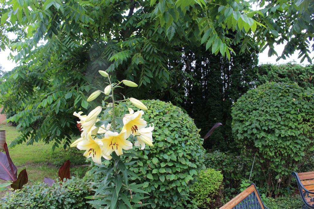 Nemunas Tour Residence Ringaudai ภายนอก รูปภาพ